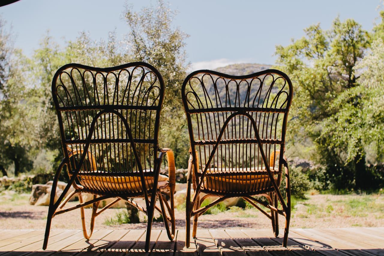 Cooking And Nature - Emotional Hotel Alvados Luaran gambar